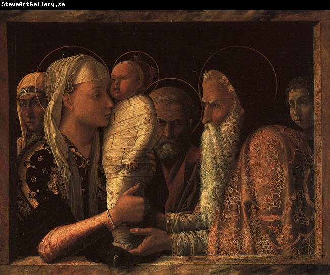 Andrea Mantegna Presentation at the Temple